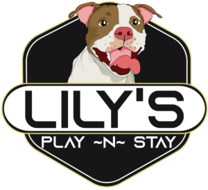 Lily's Play ~N~ Stay Belton, MO