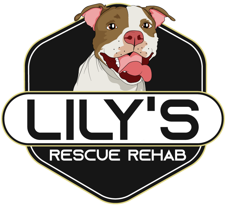 Lily’s Rescue Rehab