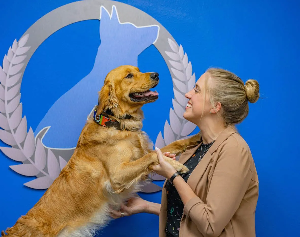 Dog Training Elite Kansas City